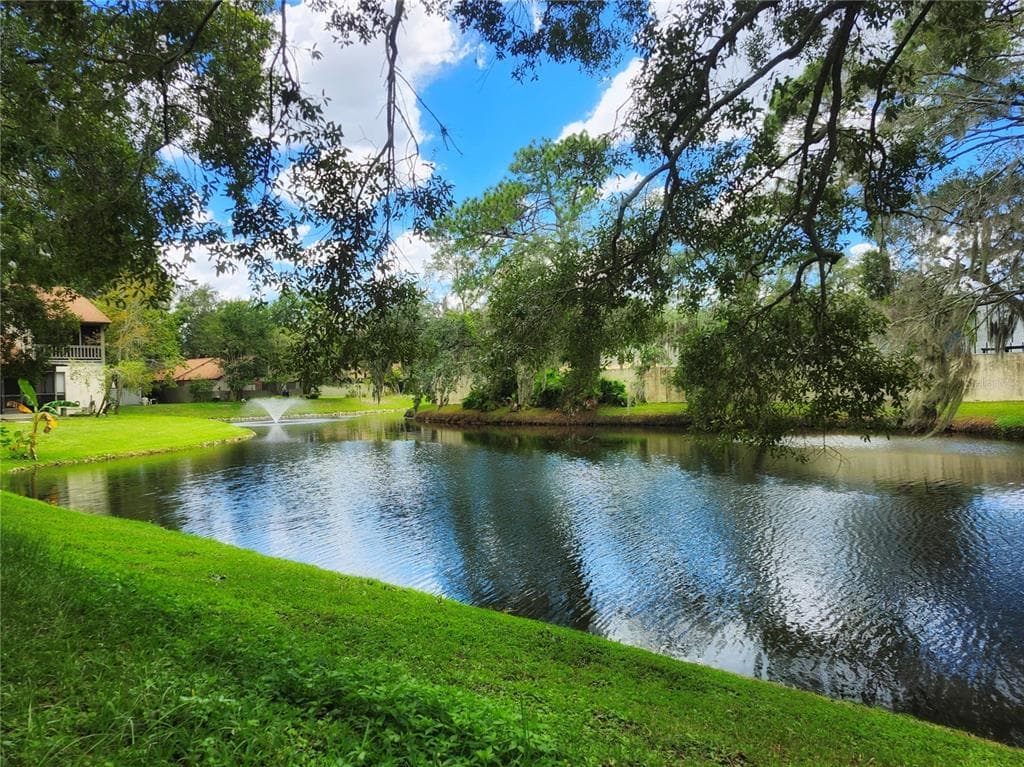 13808 LAZY OAK DRIVE TAMPA, FL 33613
