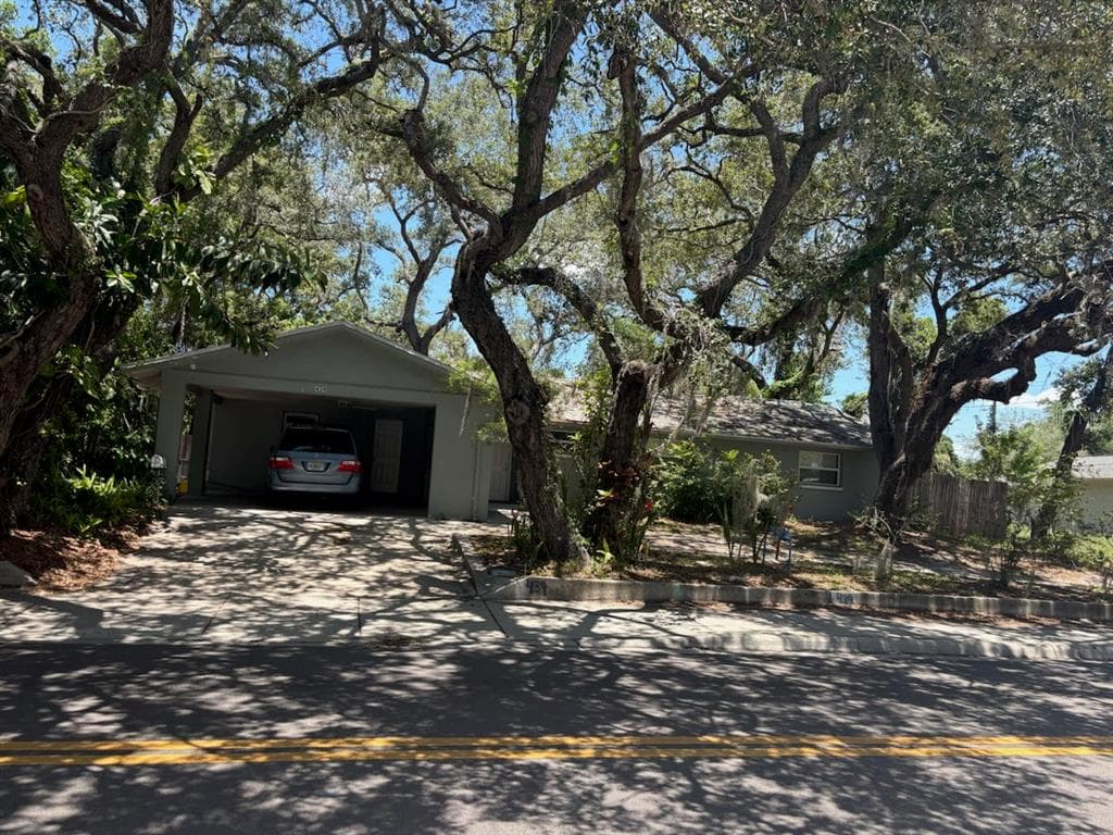 439 E MARTIN LUTHER KING JR DRIVE TARPON SPRINGS, FL 34689