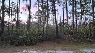 116 (BLK 62 LOT 8) CAMELLIA DRIVE INDIAN LAKE ESTATES, FL 33855