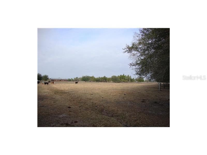 13252 HOBSON SIMMONS ROAD LITHIA, FL 33547