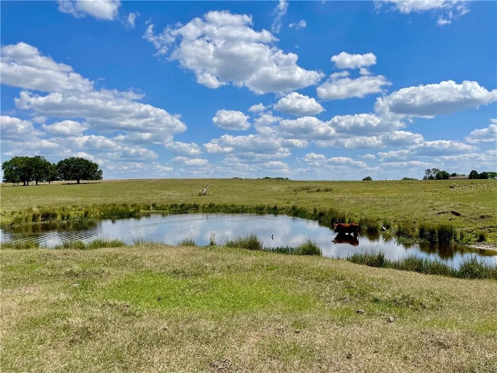 31245 DARBY ROAD DADE CITY, FL 33525