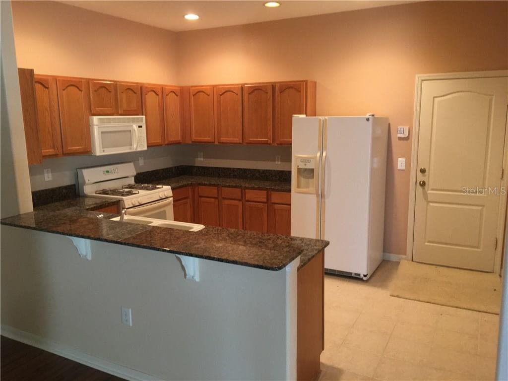 31225 SHAKER CIRCLE WESLEY CHAPEL, FL 33543