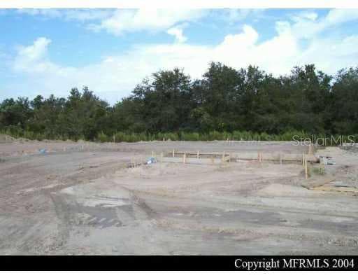 11137 CREEK HAVEN DRIVE RIVERVIEW, FL 33569