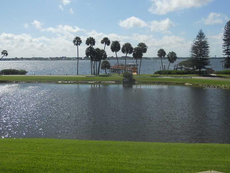 61 ISLAND COURT
