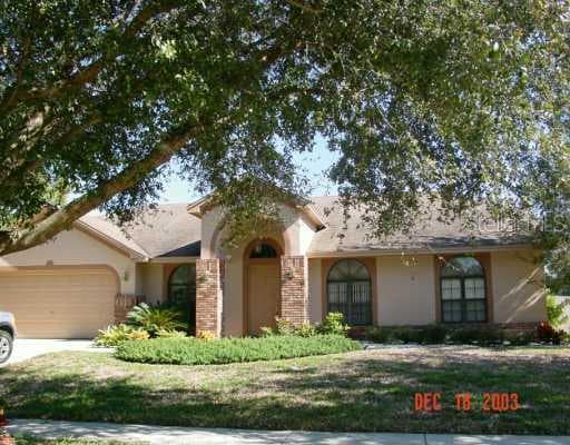 3907 BLUE MAIDENCANE PLACE VALRICO, FL 33594