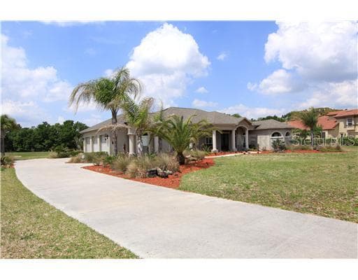 19618 AMAZON BASIN BEND LUTZ, FL 33559