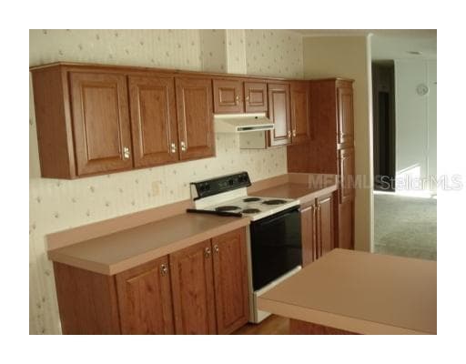 707 N SAINT CLOUD AVENUE VALRICO, FL 33594