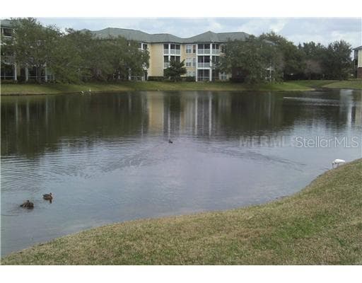4107 CHATHAM OAK COURT UNIT 319 TAMPA, FL 33624
