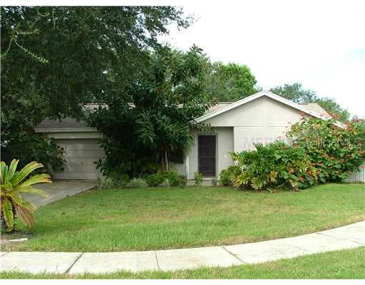11704 TWIN MAPLE PLACE TAMPA, FL 33624