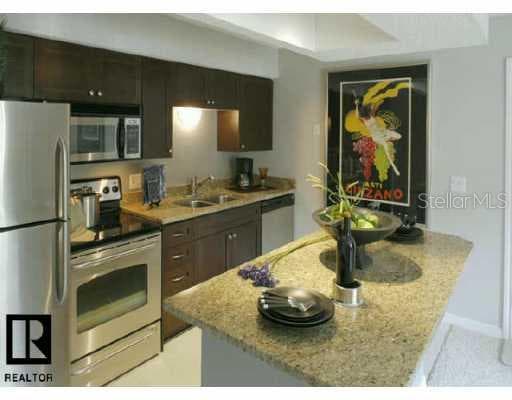 10200 GANDY BOULEVARD UNIT 406 ST.PETERSBURG, FL 33702