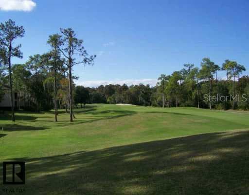 140 Lindsay LANE Oldsmar, FL 34677