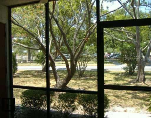 203 Pine COURT Oldsmar, FL 34677
