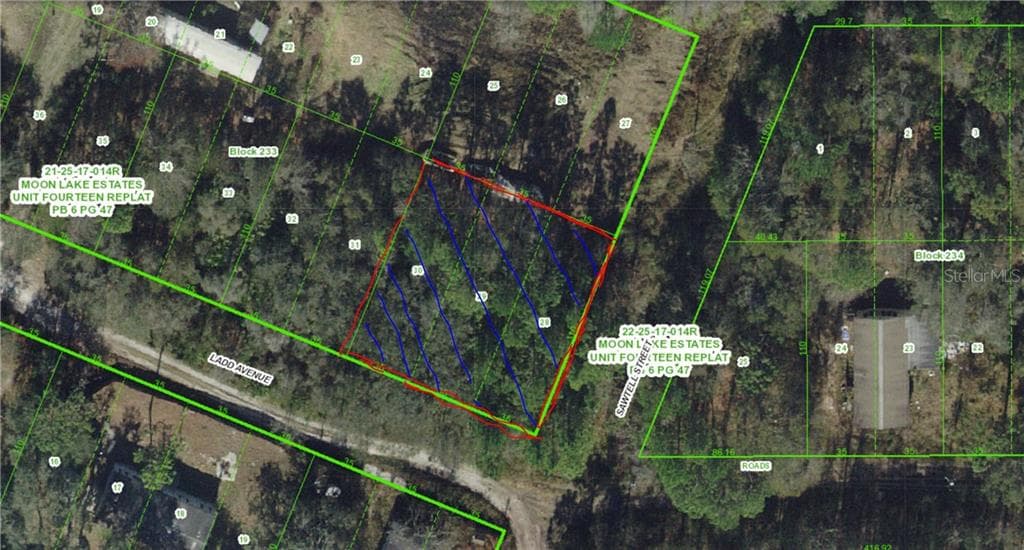 LADD AVENUE NEW PORT RICHEY, FL 34654