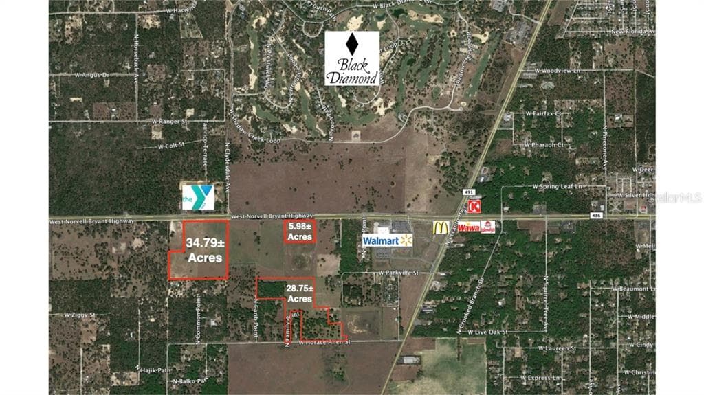 3495 W HORACE ALLEN STREET LECANTO, FL 34461