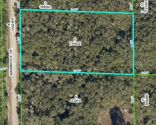 WARMROCK DRIVE WEBSTER, FL 33597