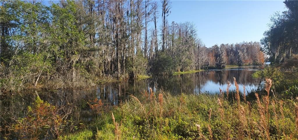 11120 LAKE SHORE DRIVE LAND O LAKES, FL 34639
