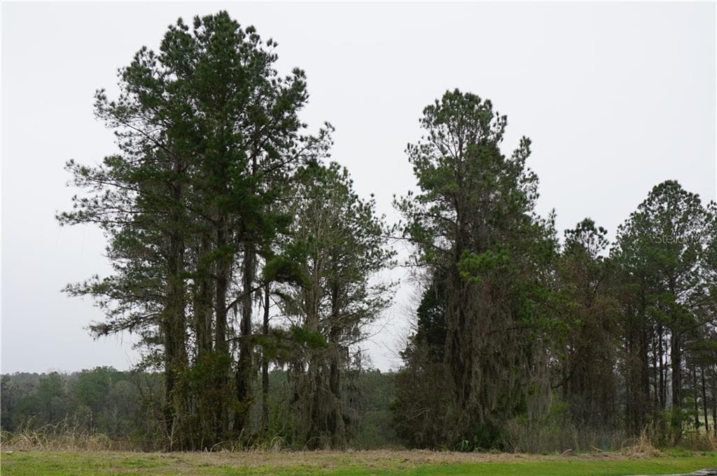 4881 HICKORY OAK DRIVE