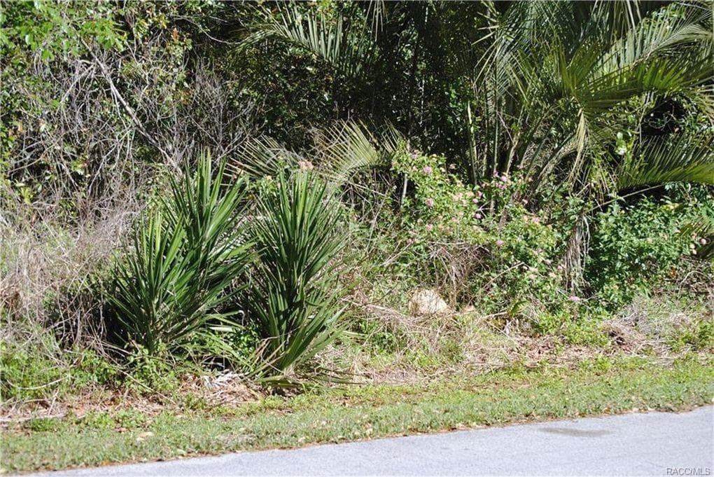 3445 E CAREY PLACE INVERNESS, FL 34453