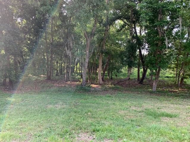 Lot 23 LAKE HILLS DRIVE RIVERVIEW, FL 33569