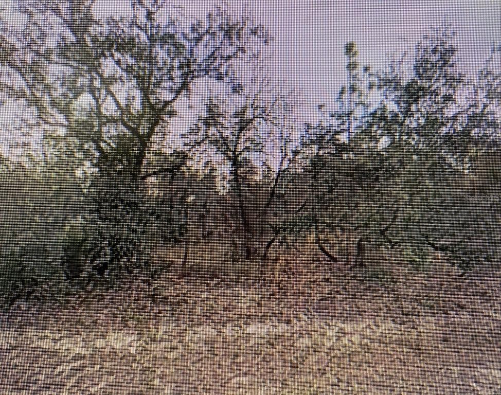 13069 MARSH HAWK ROAD WEEKI WACHEE, FL 34614