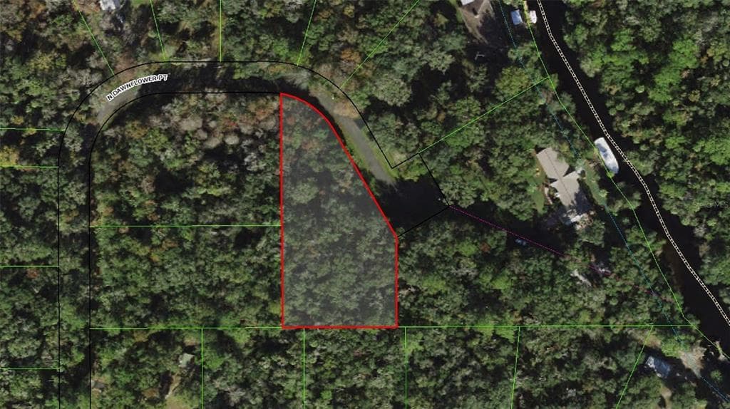10587 N DAWNFLOWER POINT CRYSTAL RIVER, FL 34428