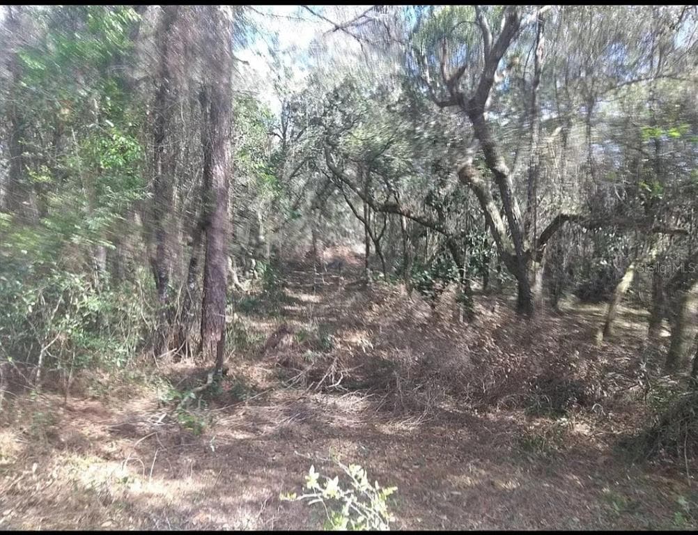 11405 E TRAILS END ROAD FLORAL CITY, FL 34436