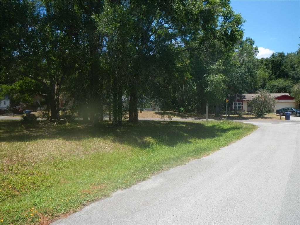 23734 FOREST VIEW DRIVE LAND O LAKES, FL 34639