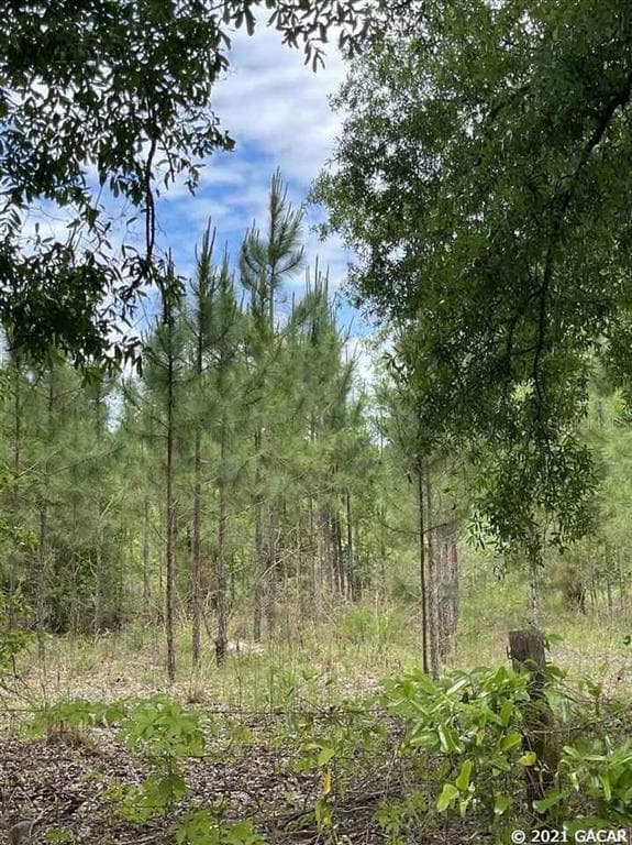 26485 45th ROAD O'BRIEN, FL 32071