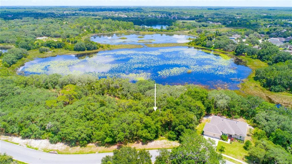 15506 SERENGETI BOULEVARD SPRING HILL, FL 34610
