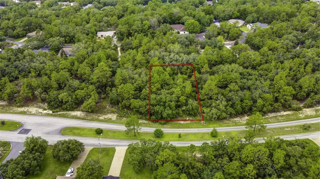 113 CYPRESS BOULEVARD E HOMOSASSA, FL 34446