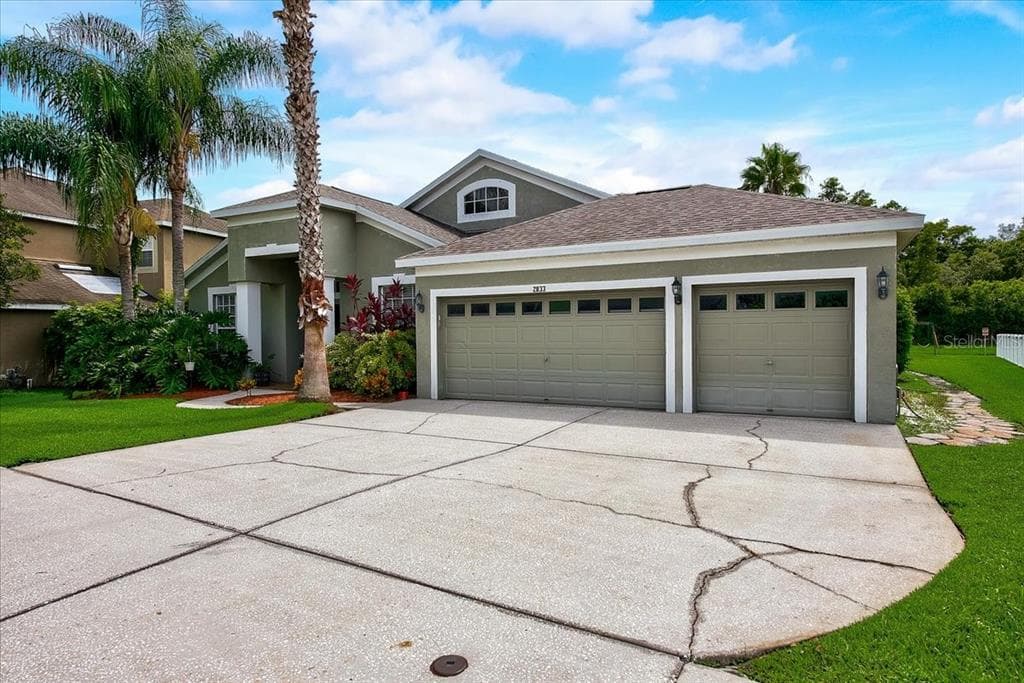 2833 BRINLEY DRIVE TRINITY, FL 34655