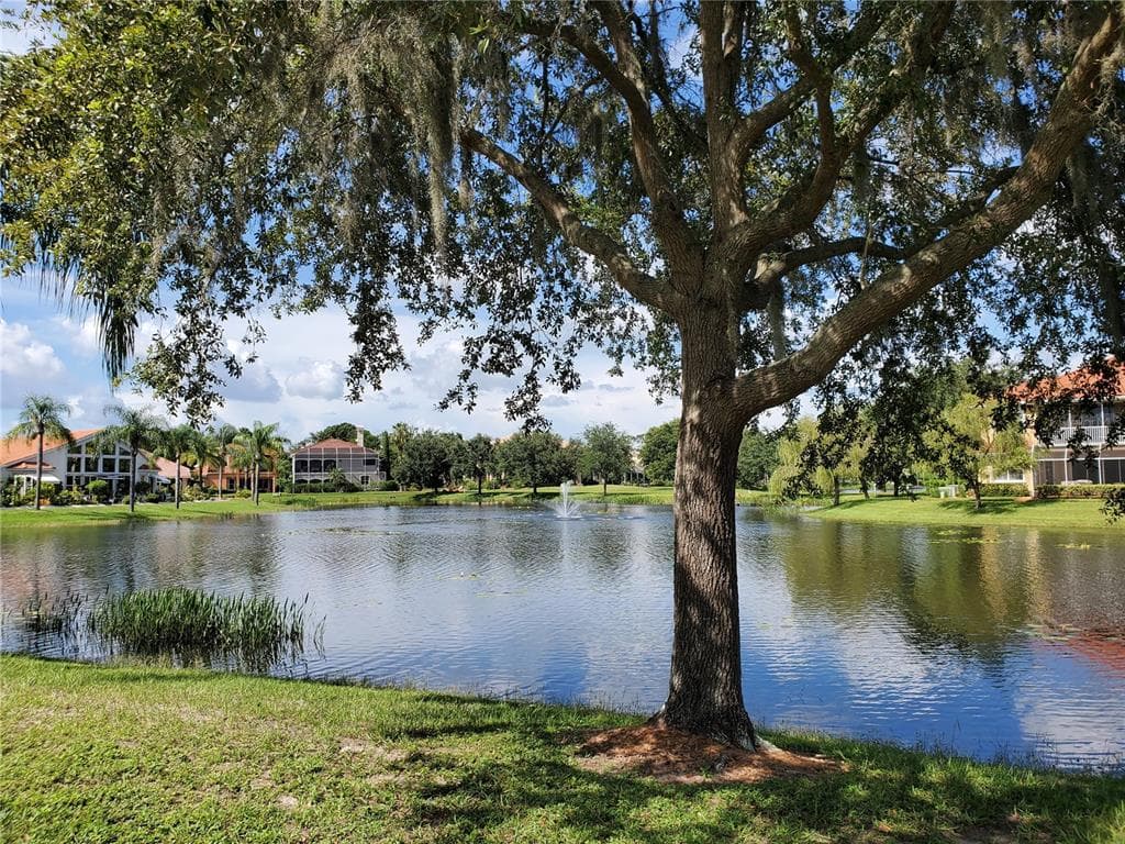 6750 DALI AVENUE UNIT 206 LAND O LAKES, FL 34637