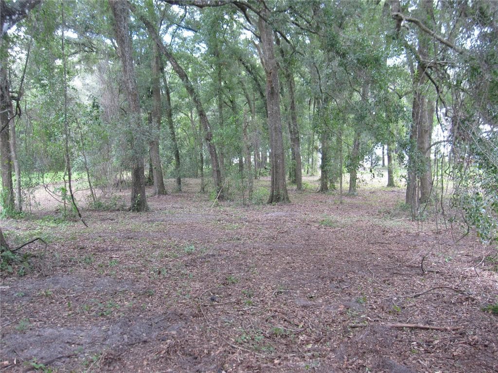 37345 NEIGHBORS PATH ZEPHYRHILLS, FL 33542
