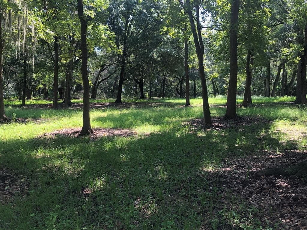 11308 WALTER HUNTER ROAD LITHIA, FL 33547