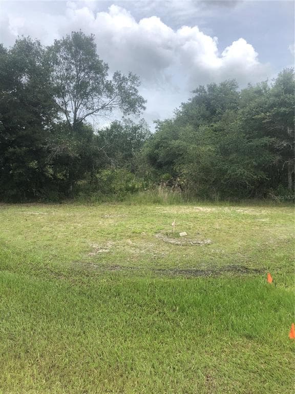 Blk144 L12 PARK AVENUE INDIAN LAKE ESTATES, FL 33855