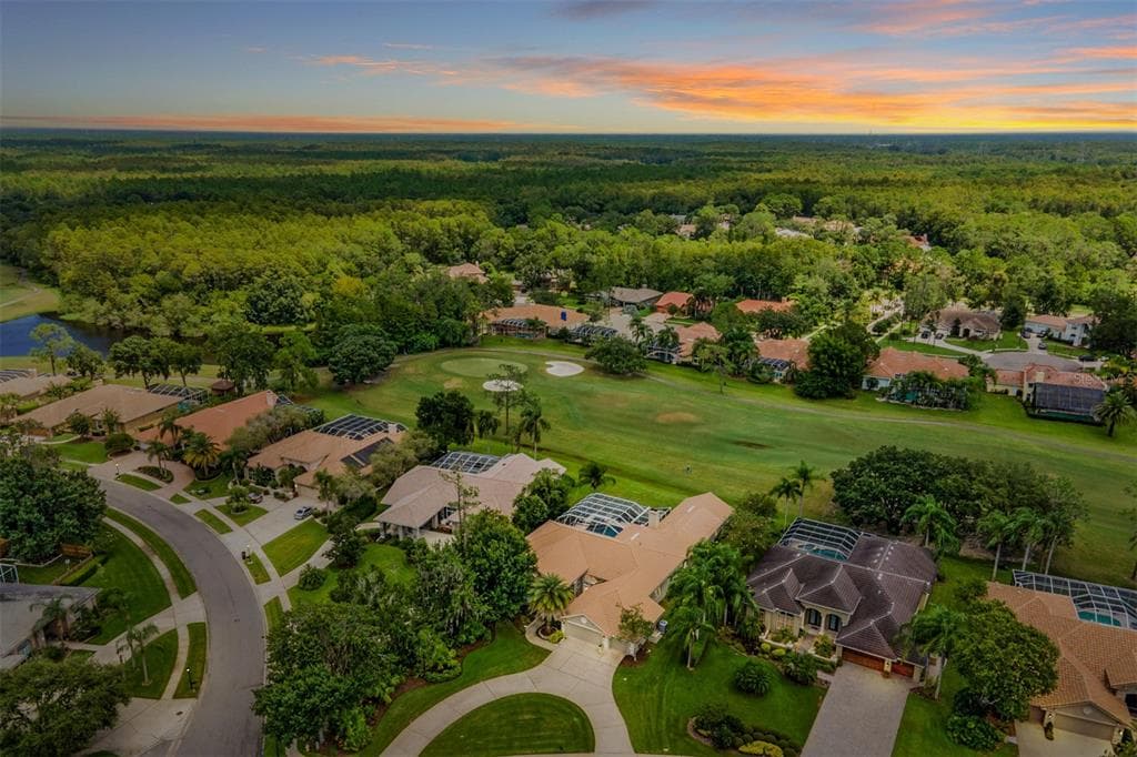 1299 COVERSTONE COURT OLDSMAR, FL 34677