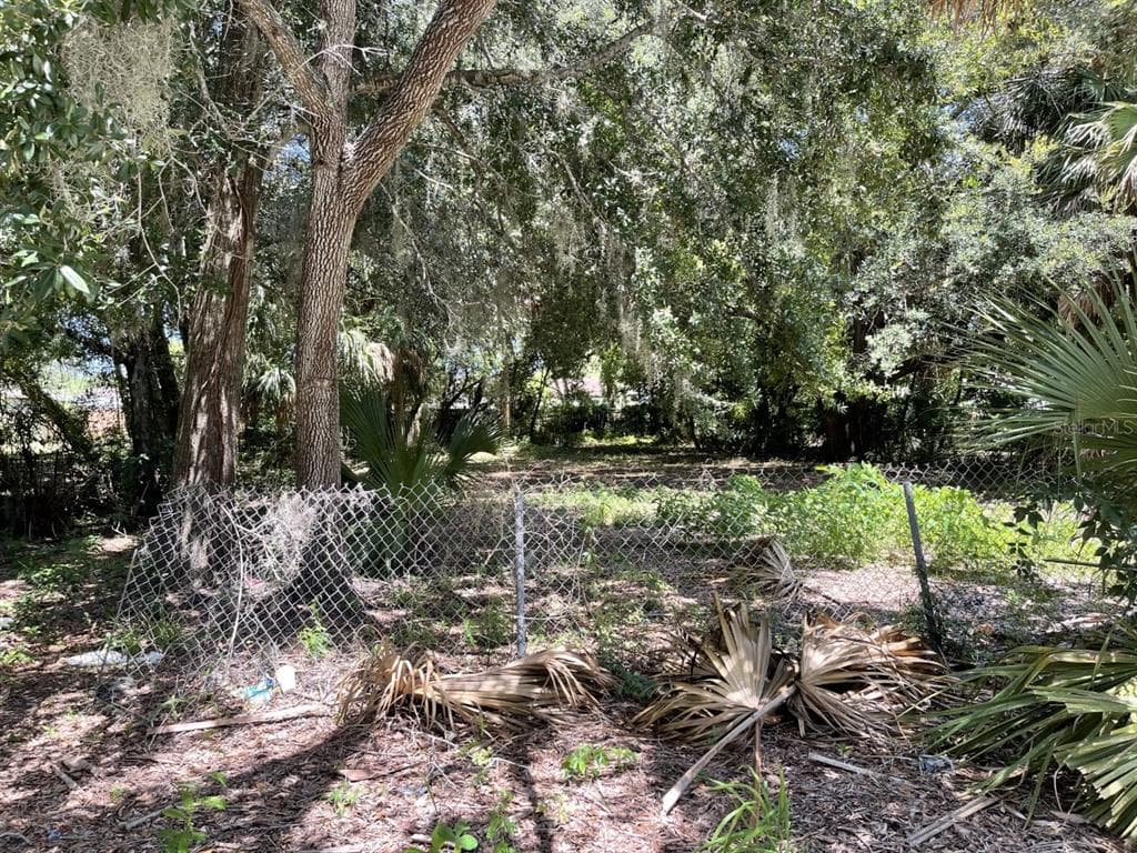 LIME STREET TARPON SPRINGS, FL 34689