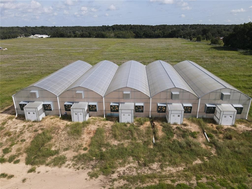 11426 KNIGHTS GRIFFIN ROAD THONOTOSASSA, FL 33592