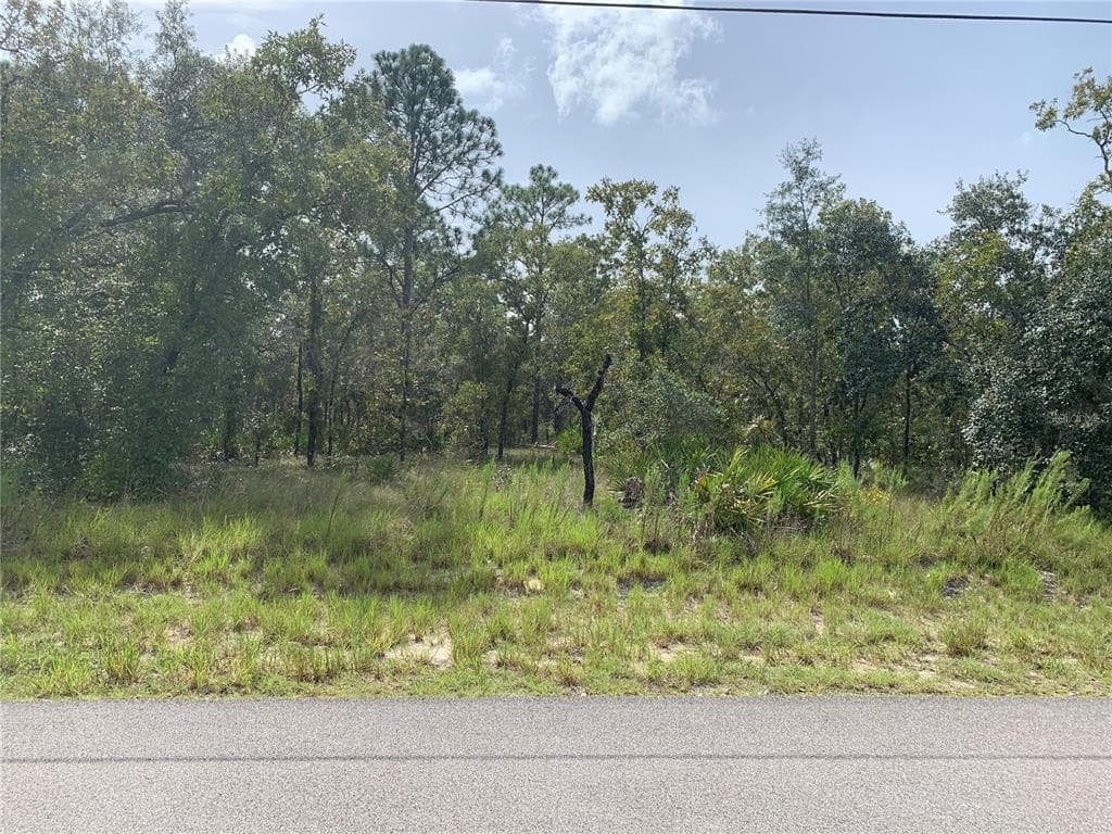 13101 MARBLED GODWIT ROAD WEEKI WACHEE, FL 34614