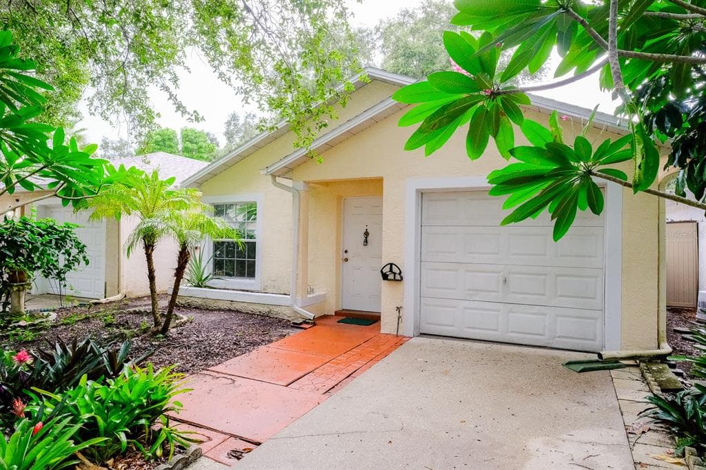 2744 WILSON COURT PALM HARBOR, FL 34684