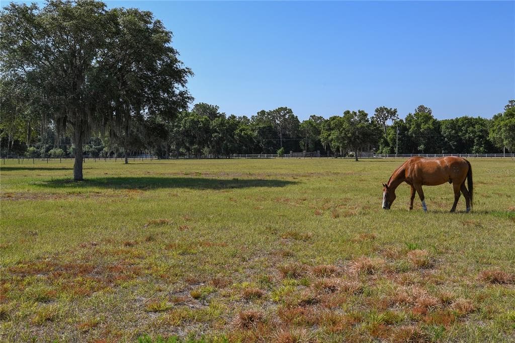 BROWNING ROAD LITHIA, FL 33547