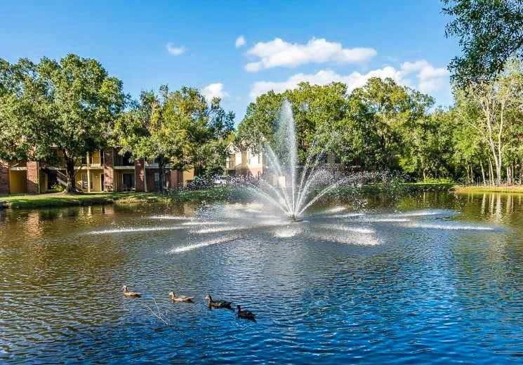 8629 FANCY FINCH DRIVE UNIT 202 TAMPA, FL 33614