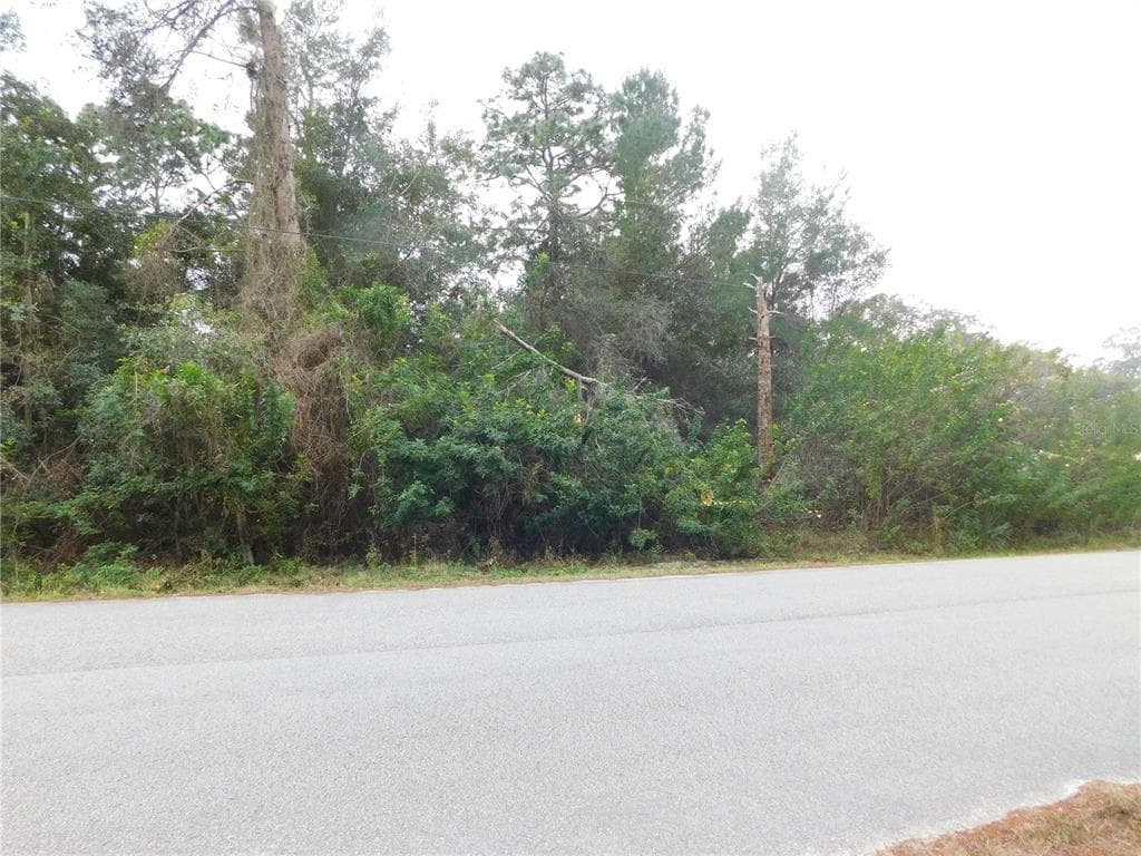 0 GLADWIN AVENUE HUDSON, FL 34667