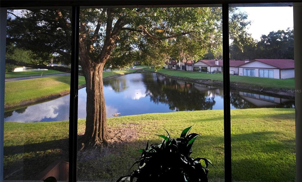 3505 TARPON WOODS BOULEVARD UNIT Q409