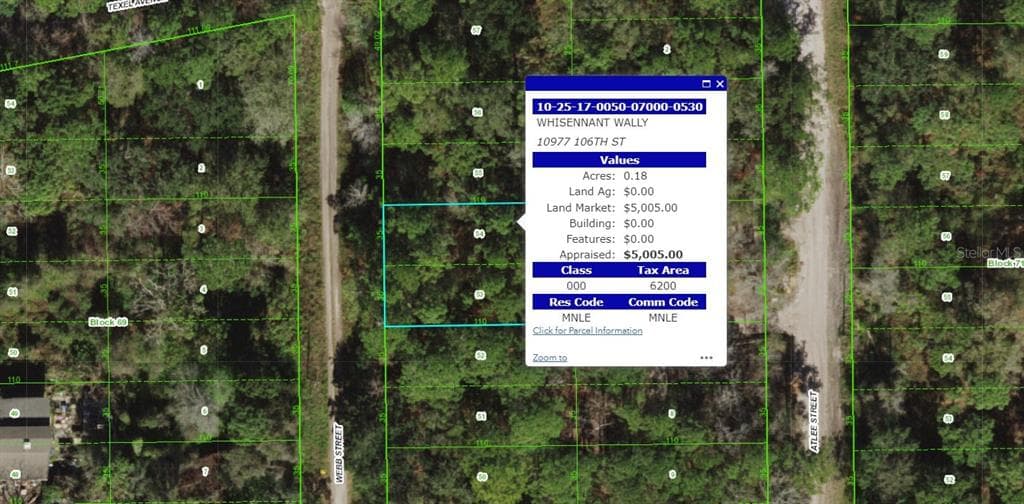 WEBB NEW PORT RICHEY, FL 34652
