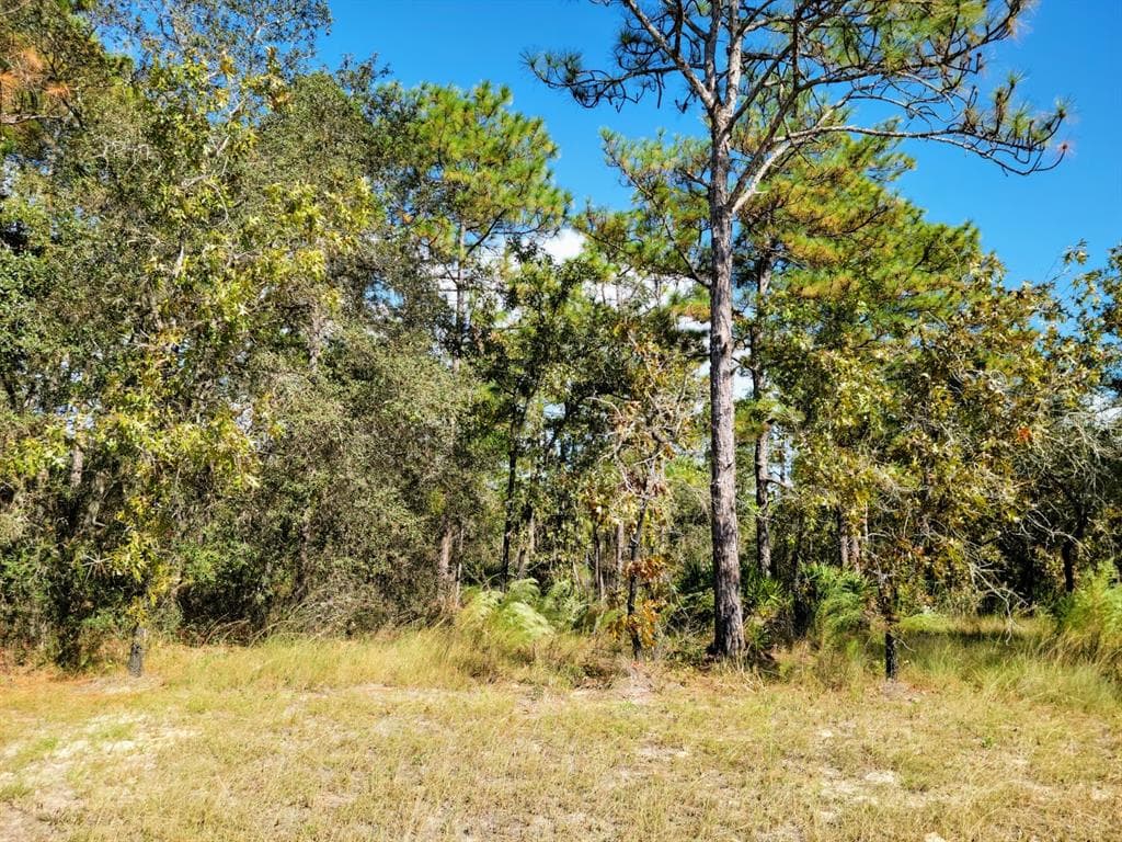 16396 MANOR ROAD WEEKI WACHEE, FL 34614