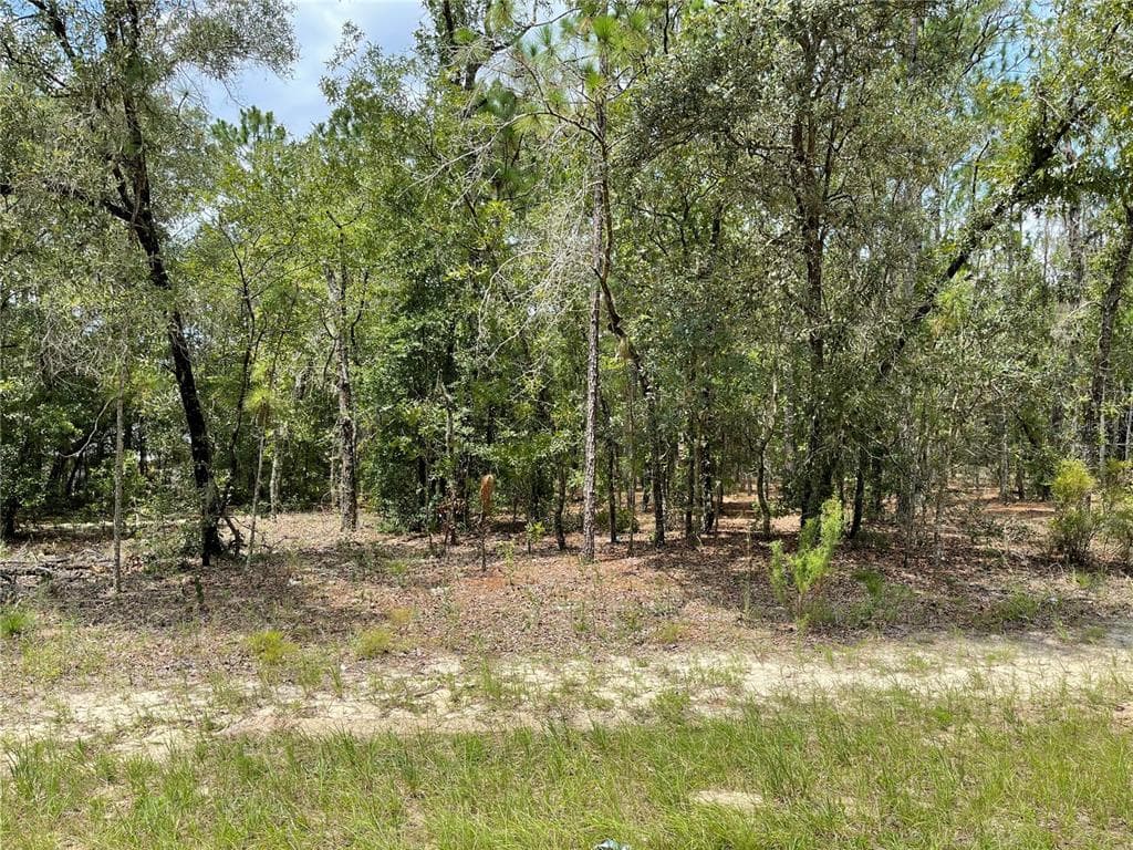 9144 N TRAVIS DRIVE CITRUS SPRINGS, FL 34434