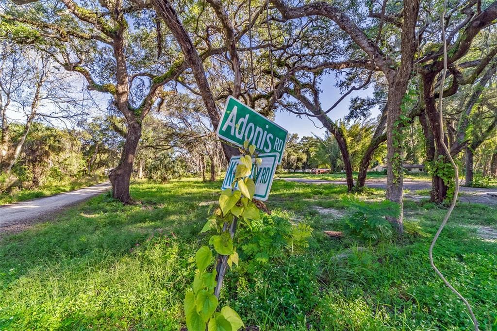 8519 ADONIS ROAD NEW PORT RICHEY, FL 34654