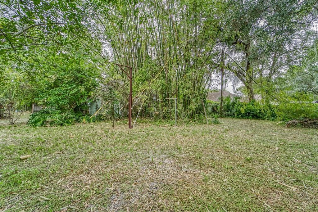 920 W KNOLLWOOD STREET TAMPA, FL 33604
