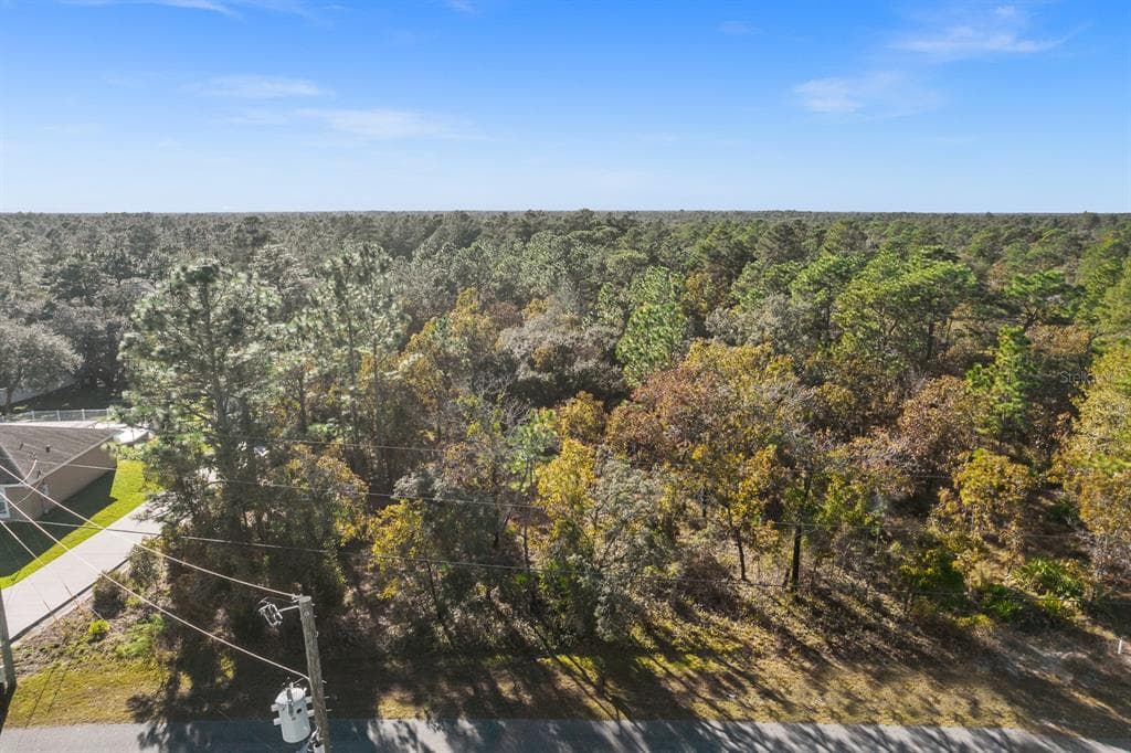 11445 LARK SPARROW ROAD WEEKI WACHEE, FL 34614
